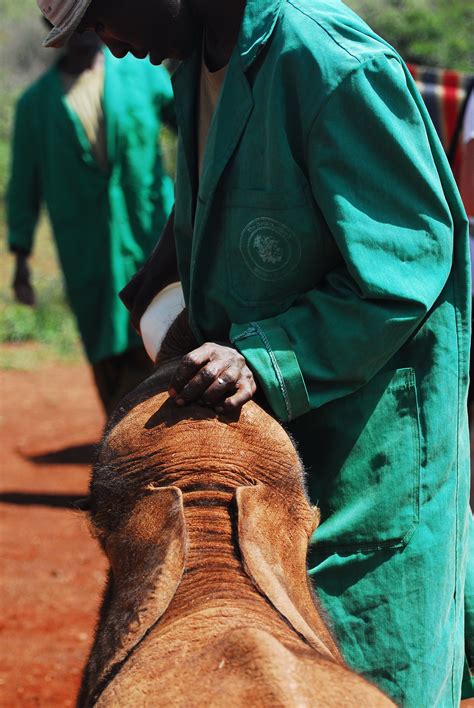 Anti Poaching Projects Children Of Conservation