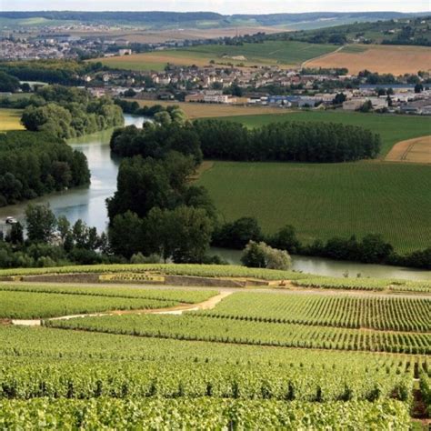 Your 2025 guide to Champagne wine region | Winetourism.com