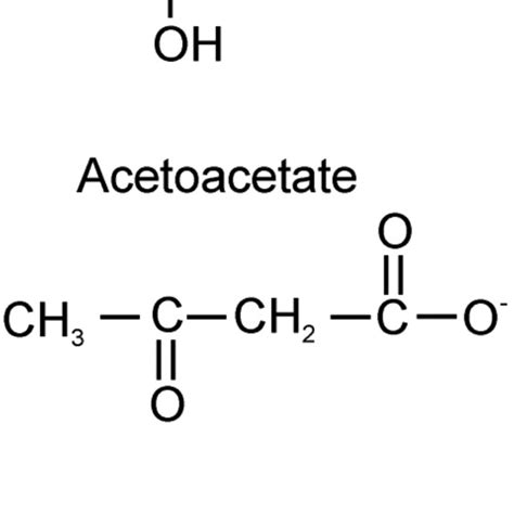 Overview of ketone synthesis and metabolism. | Download Scientific Diagram