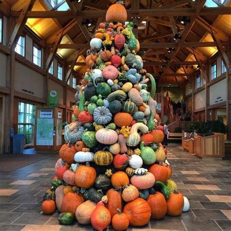 Pin By Makenzie Mauney On Dewberry Pumpkin Display Pumpkin Tree