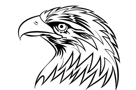 Орел рисунок трафарет (ФОТО) - detskieru.ru