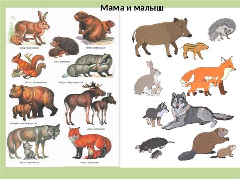 Дикие животные и их детеныши картинки для детского сада распечатать ...