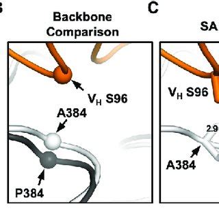 crystal structure  cr  complex  sars  rbd  crystal