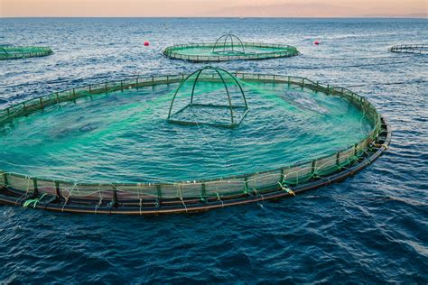 Soy Excellence Center – SEC’s 80th Aquaculture Program on Management of