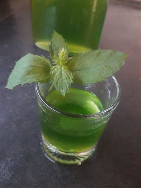 Liquore Alla Menta Blog Di Agneseincucina Fresco Dolce Alcolico Estivo