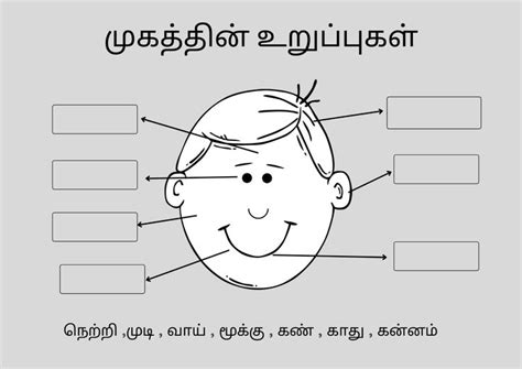 Pin on Tamil Exercises