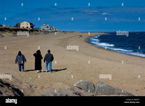 The effects of beach erosion on the fragile dunes on a barrier beach Stock Photo - Alamy