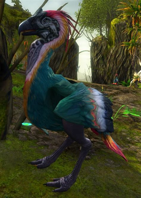 veteran gruener moa guild wars  wiki