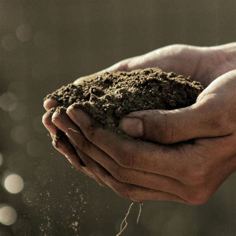 unlock soil basics elevate  gardens potential