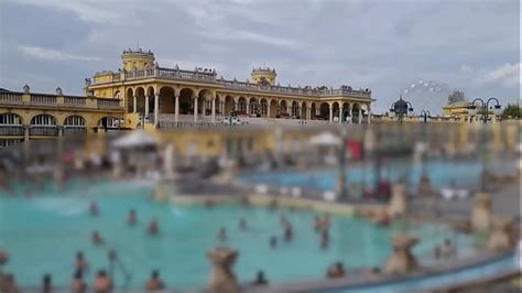 Public Pool Videos Xvideos