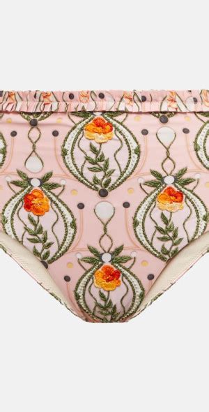 Agua By Agua Bendita Nopal Lunar Embroidered Bikini Bottoms