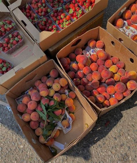 Персики | Персики, Клубника, Эстетика