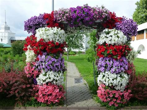 Петуния в интерьере сада 80 фото