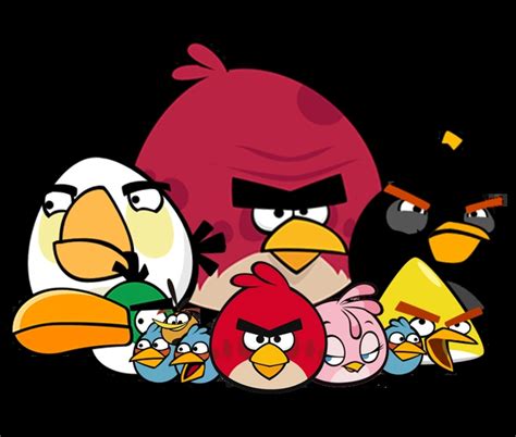 Nome Dos Passaros Angry Birds - Angry Birds Todos Os Tipos De Passaros