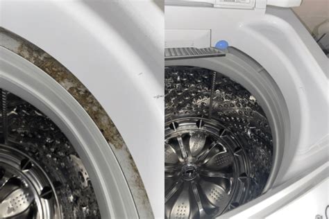 Easy Steps for a Washing Machine Deep Clean - Uniquely Lyss