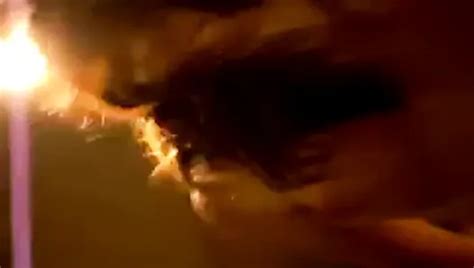 Free Riding Homemade Porn Videos XHamster