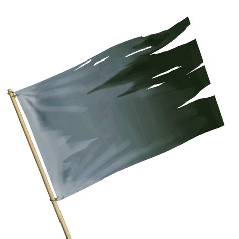 Flag Of The Silent Barnacle The Sea Of Thieves Wiki