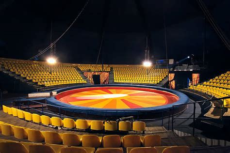 Circus Crowd Stock Photos Pictures And Royalty Free Images Istock