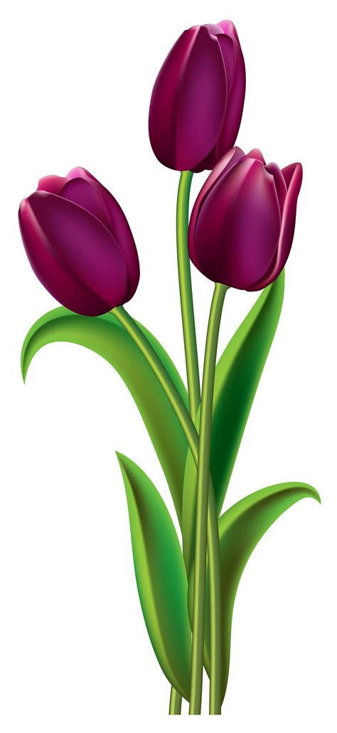 Flowers Clipart Tulips At Larry Yockey Blog