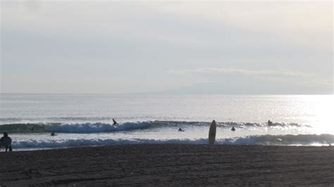 波情報 湘南 腰腹セット胸サイズアップ サーフボードクオリティーハードコア Quality Hardcore Distributions