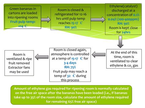 Banana ripening | PPTX