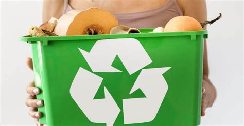 Lixo Organico E Reciclavel - Lixo orgânico e reciclável - O que pode ir para o resíduos orgânico?