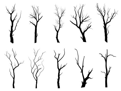 Black Branch Tree Or Naked Trees Silhouettes Hand Drawn Isolated Illustrations Vector