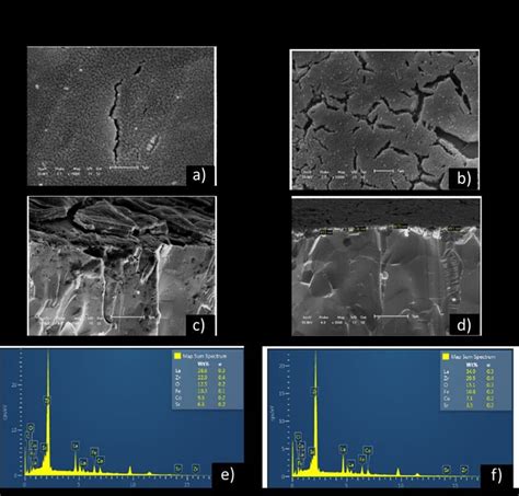 -Scanning electron microscopy images of (a) surface (a and b ...