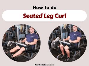 Seated Leg Curl – Legs exercise - aestheticbeats