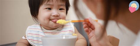 6 Evidence-Based Reasons to Delay Introducing Solid Foods 15