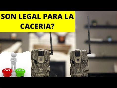 Es Legal Poner Cámaras de Fototrampeo Conoce la Verdad Aquí