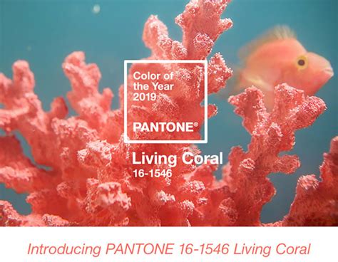 Pantone Color Of The Year Living Coral Bay Area Fashionista