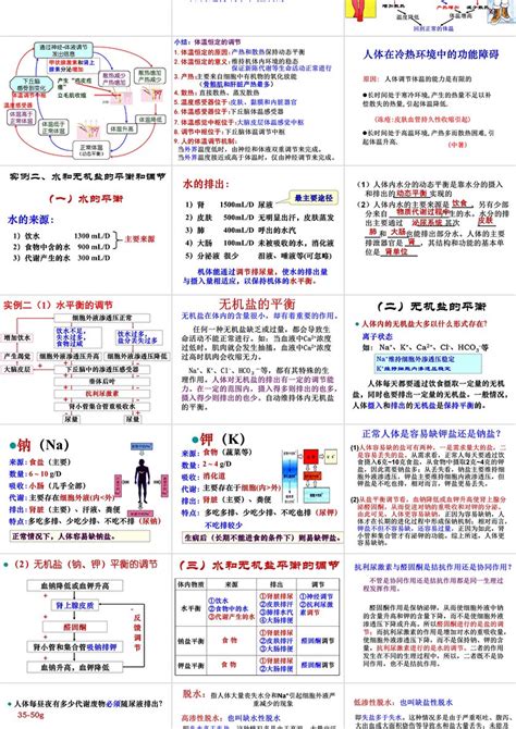 第2章 动物和人体生命活动的调节教学课件ppt卡卡办公