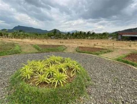 Residential Farm Lot For Sale Santo Tomas Batangas 180 Properties