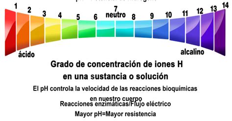 Indicador De Ph Con Col Morada Abstractor