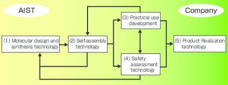 Conceptual Representation Of The Integration Of The Main Elemental