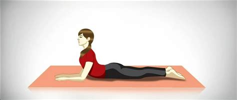 Salamba Bhujangasana Sphinx Pose How To Do Benefits The Art