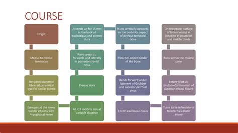 Sixth Cranial Nerve Palsy Diagnosis And Management Ppt