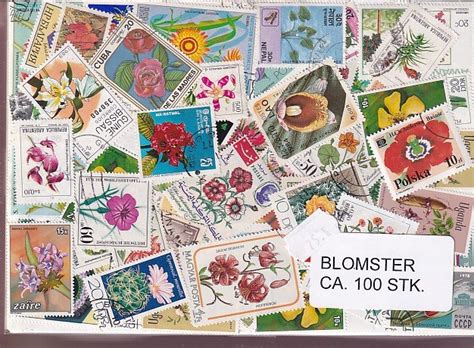 Blomster P Frim Rker St Ust Stk Dubletpartier Samlerhuset