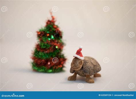 Cute Turtle Wearing Christmas Hat Stock Photo Image Of Warm Mini