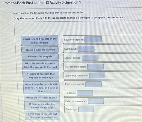 Solved From The Book Pre Lab Unit 13 Activity 3 Question 1