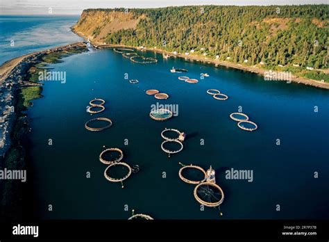 Aerial Of Salmon Fish Farms Grand Manan Island New Brunswick Canada