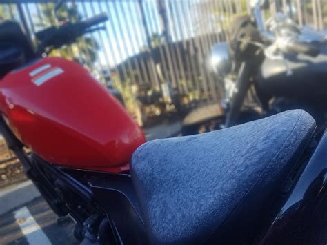 Still can't complain about San Diego weather but gosh darn it was cold