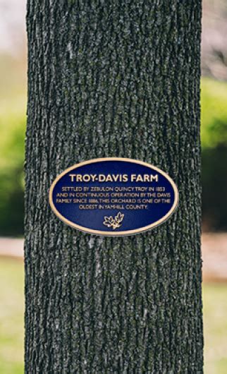 Tree Plaques Outdoor Plaques Advantage Signs And Graphics