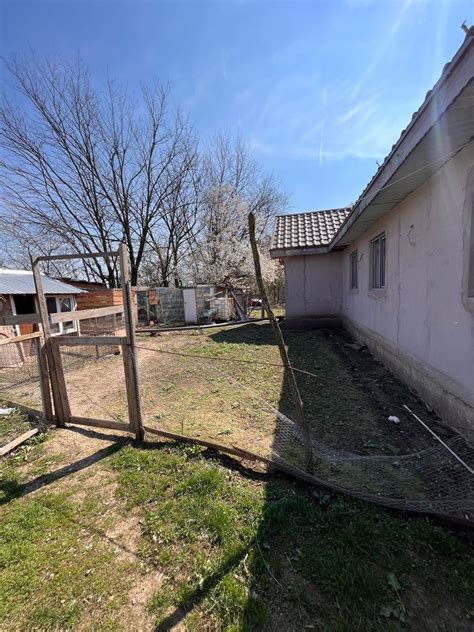 Casa De Vanzare 3 Camere La 30 Km De Bucuresti Chiroiu Satu Nou OLX Ro