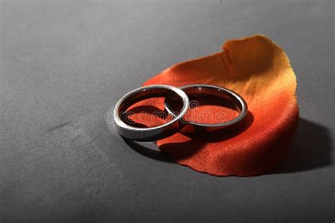 Rings stock photo. Image of petals, love, couples, ring - 6112708