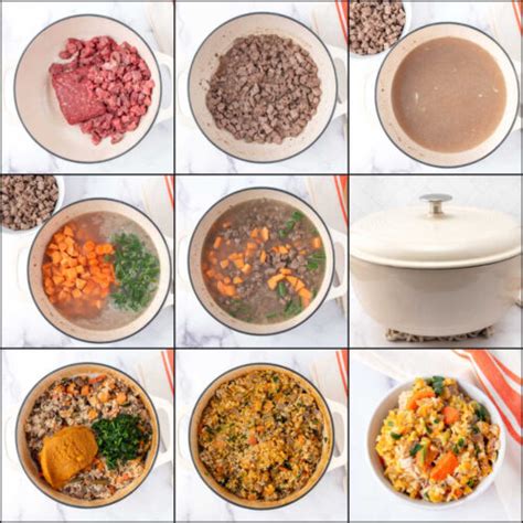 Bison Dog Food Oven Slow Cooker And Instant Pot Spoiled Hounds