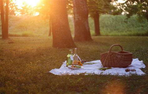 Picnic Wallpapers Top Free Picnic Backgrounds Wallpaperaccess