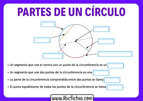 Partes Del Circulo