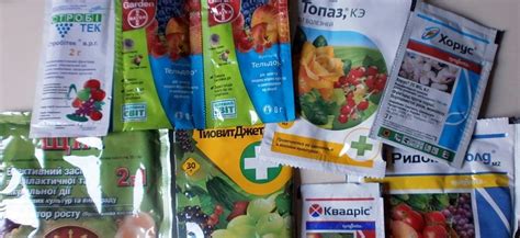 Фунгициды для винограда: лучшие препараты для обработки